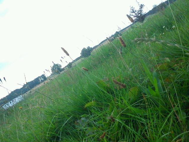 mms_img28453