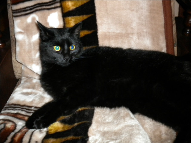 Toka