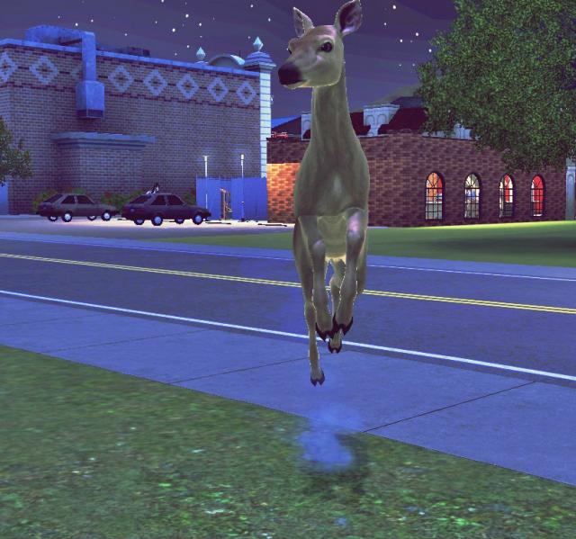 Sims # 16
