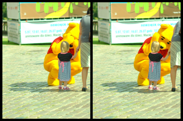 the Pooh