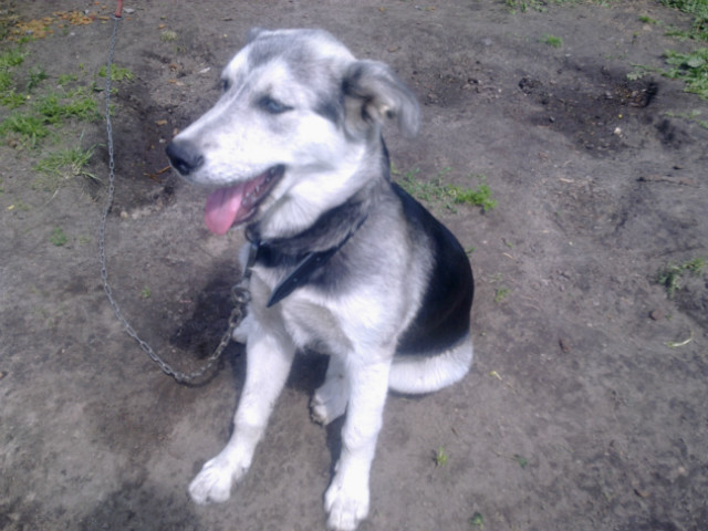 Wpis malinoweustaax3