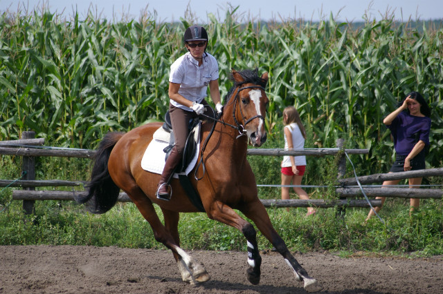 Szklarzówka