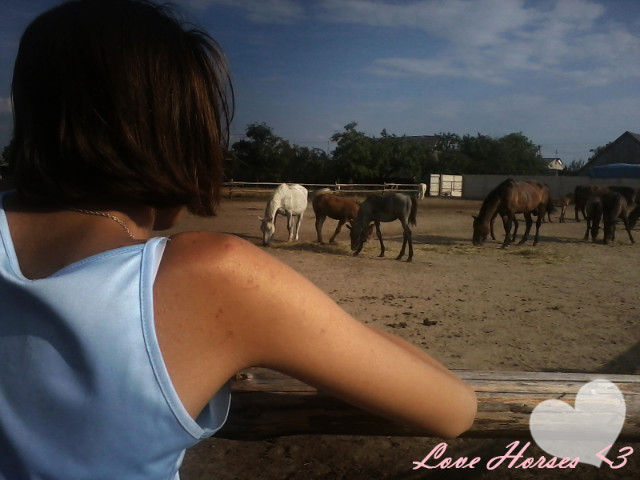Wpis brysiahorse