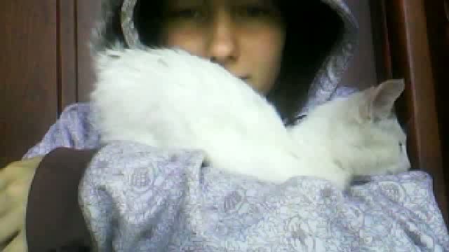Kicia