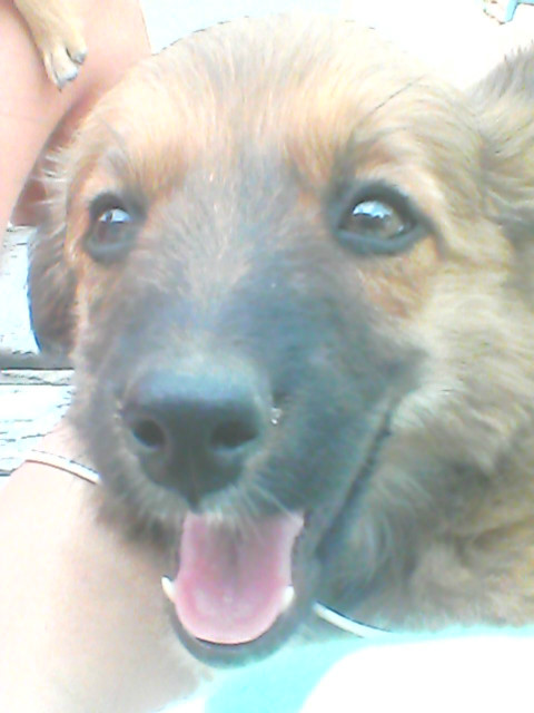 *.*