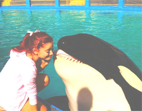 Wpis arianax