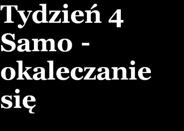 Zapraszamy ! 