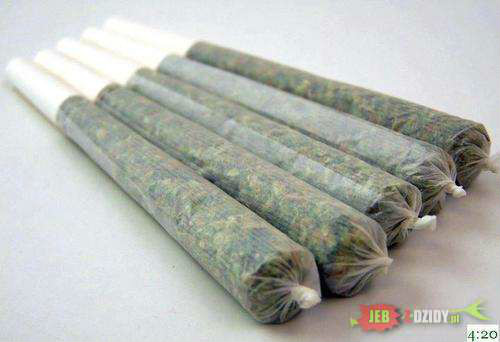 Wpis wandzia93x3