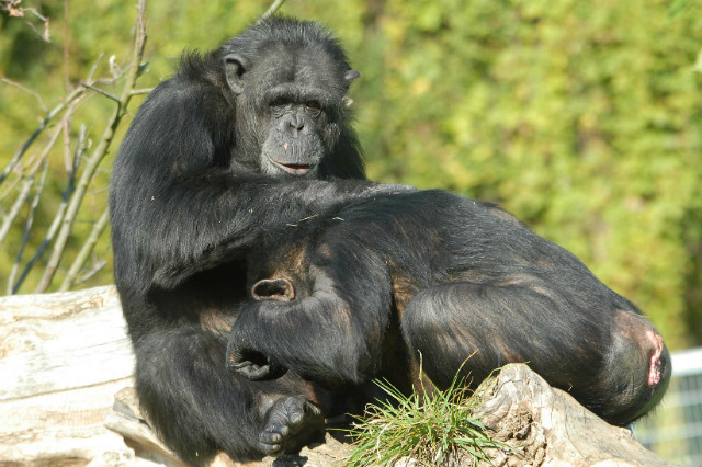 ZOO NEUWIED