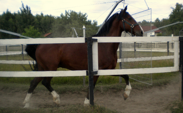^Mistral^^