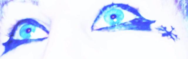 Snow Whithe Eyes