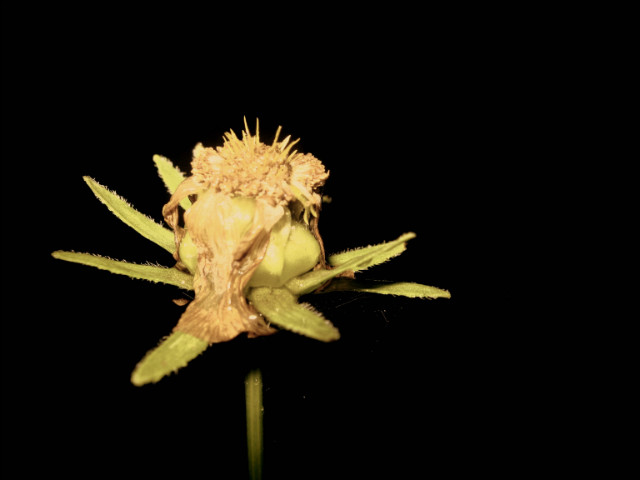 2 . 
