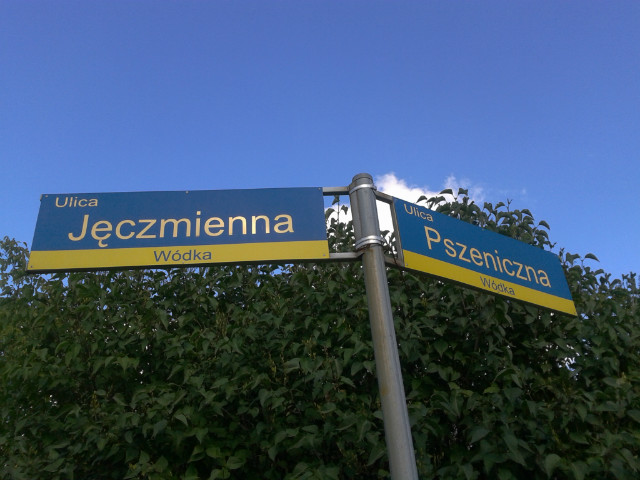 bo jak ju bdzi...
