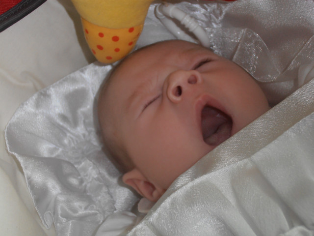 Helcia:*