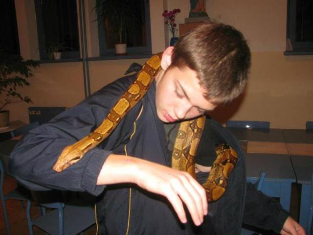 Z Sykiem