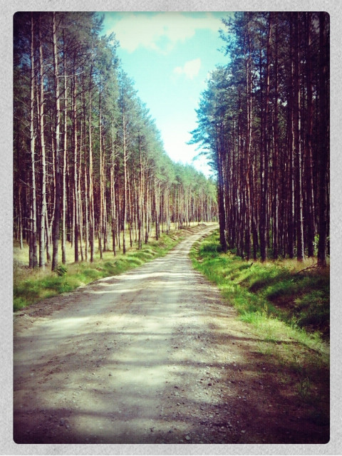 redeption road
