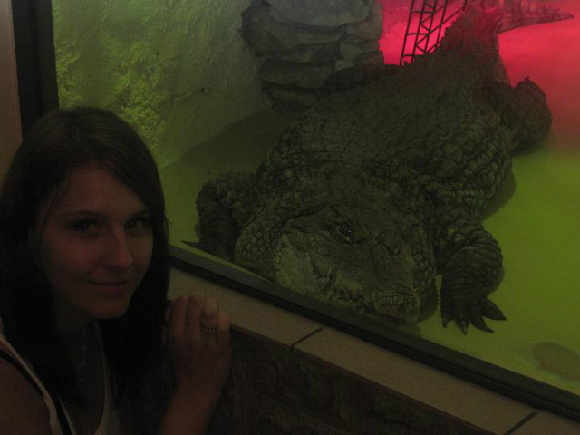 Takie tam z krokodylem ;D 