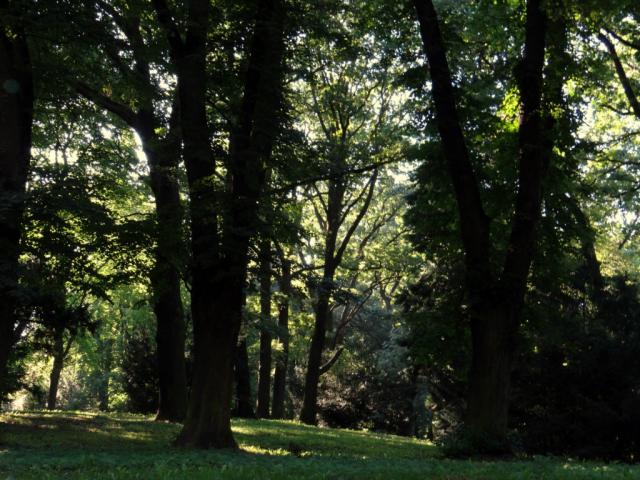 Park Kasprowicza :D