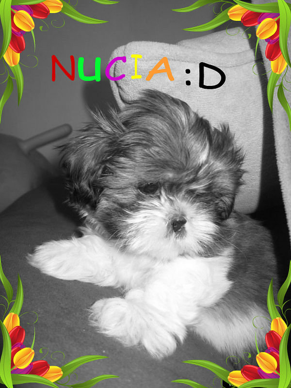 moj w. pamici nutka =]