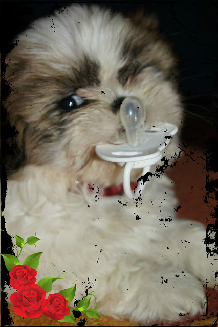 beti =]