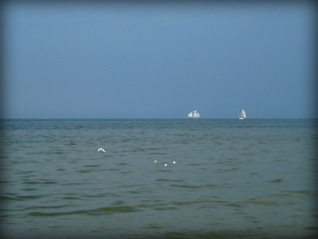Mare Balticum.