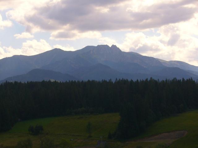 262.
