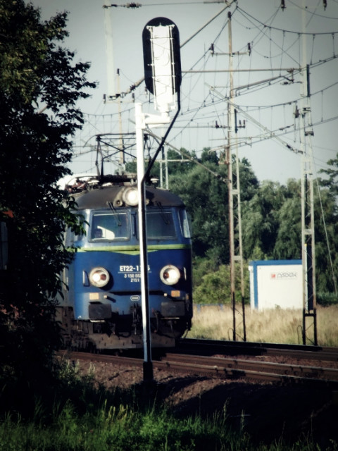 Wpis zelus2