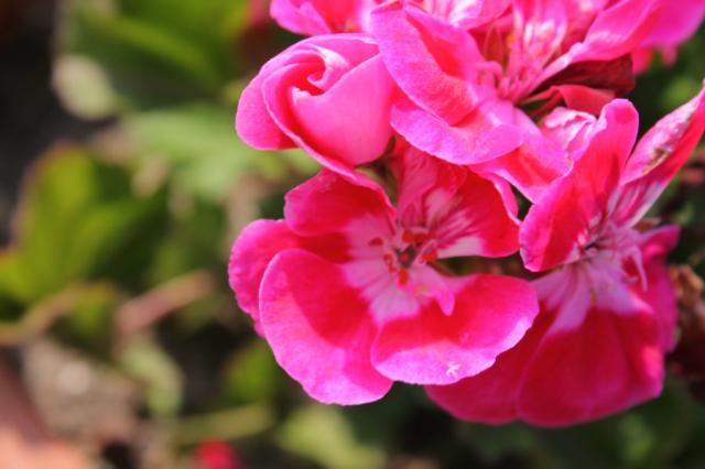 Wpis photography5
