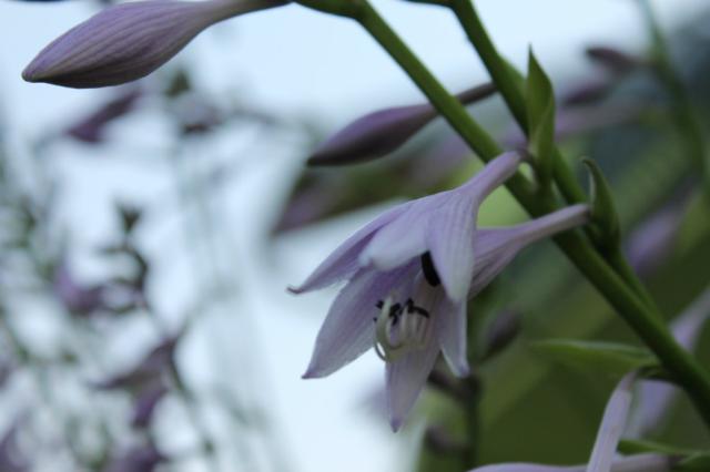 Wpis photography5