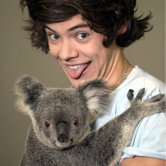 Wpis poznajharregostylesa