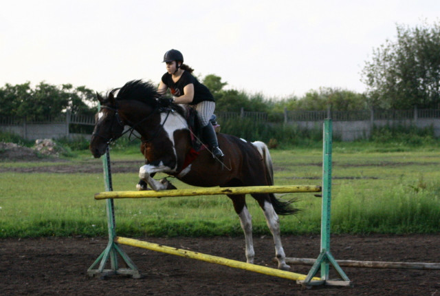 Wpis niebieskomixd