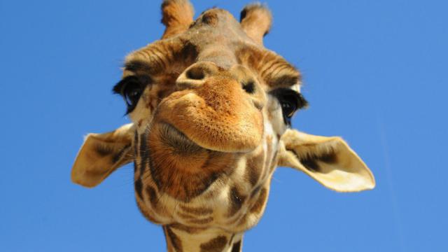 ;p