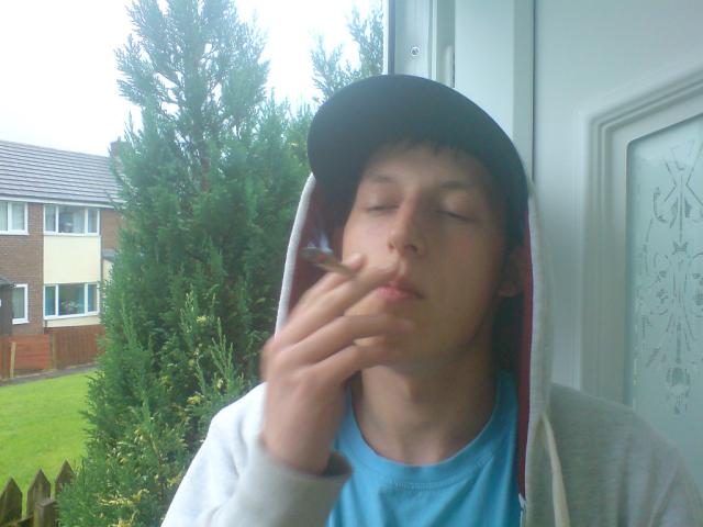 Gibek :d