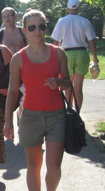 Wpis paja798