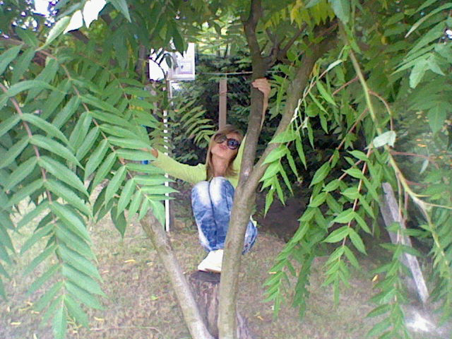 Wpis tirificgirl