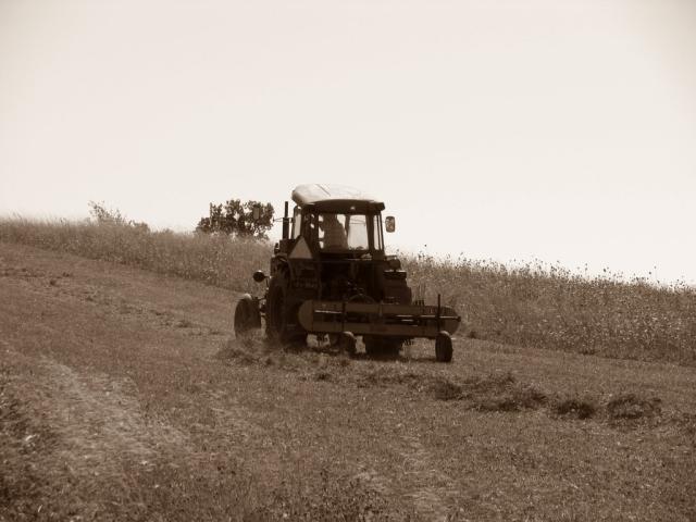 Lato 2012