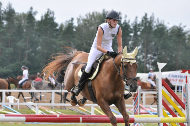 Wpis onlyhorse94