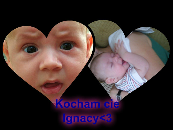 Igna