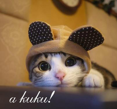 ` a kuku ! 