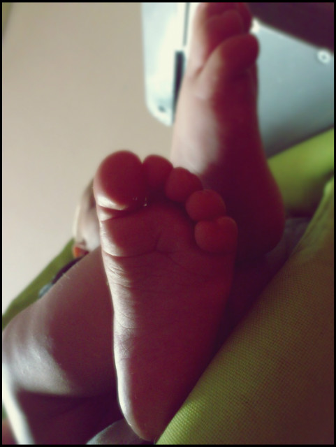 malutkie nki :)