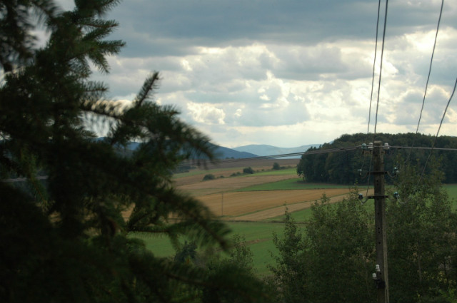 Wpis denat