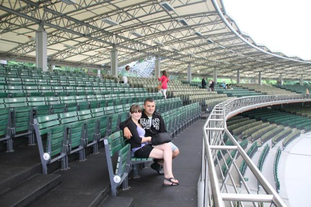 Wpis zelkowymis