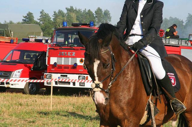 Nashorn 41