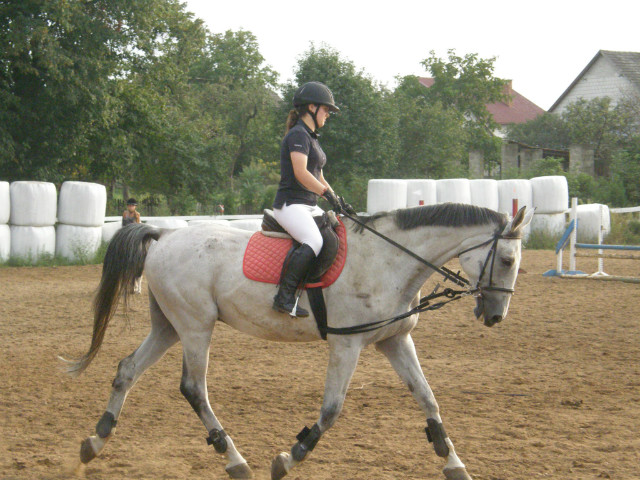 23.08 Shrek :/