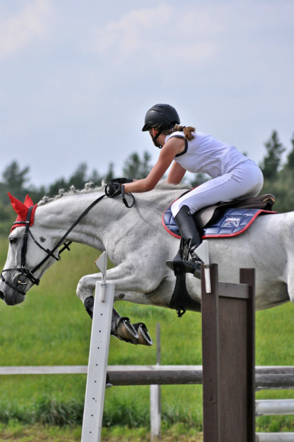 Wpis onlyhorse94