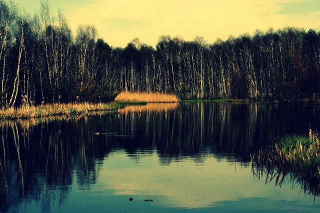 Bagno Jacka.
