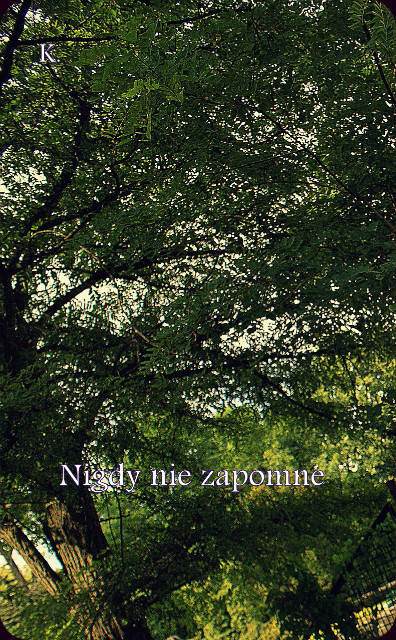 "Nigdy nie zapomn"
