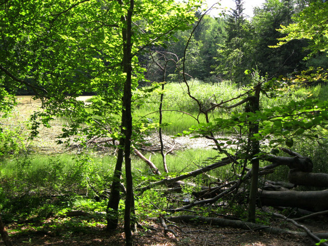 Bieszczady