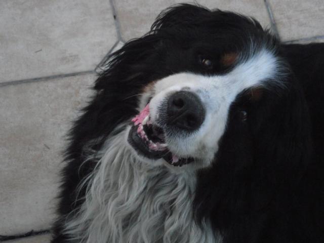 mosiek ;>
