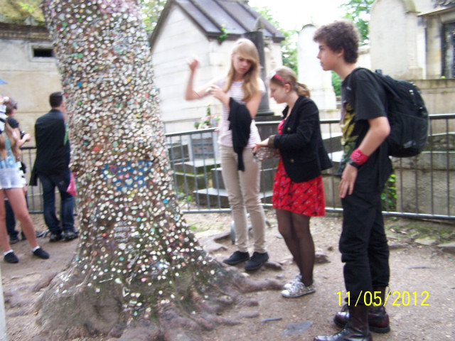 GumTree :D 